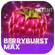 NETENT8